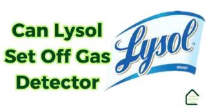 Read more about the article Can Lysol Set Off Gas Detector